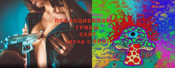 apvp Бородино