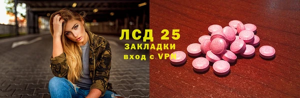 apvp Бородино