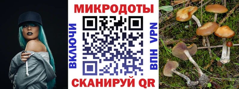 Купить  Выборг  Галлюциногенные грибы Cubensis 